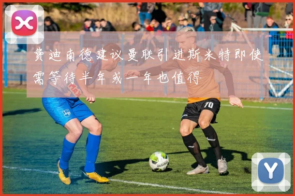费迪南德建议曼联引进斯米特即使需等待半年或一年也值得